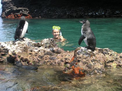 Marianne og pingviner for foden af 'Pinnacle Rock'